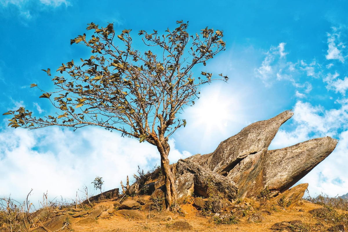 Dolphin-shaped rock formation in Ta Xua